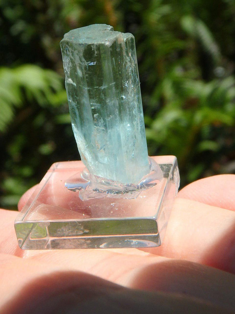 Natural Gemmy Blue Mounted AQUAMARINE SPECIMEN* - Earth Family Crystals