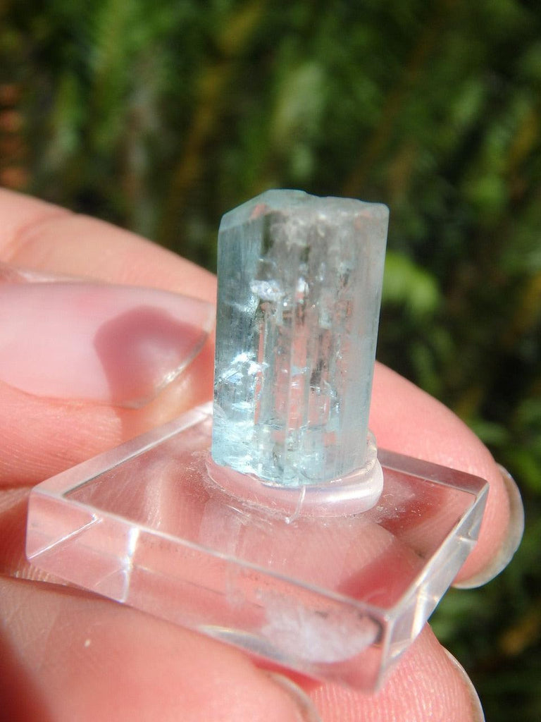 Natural Gemmy Blue Mounted AQUAMARINE SPECIMEN - Earth Family Crystals