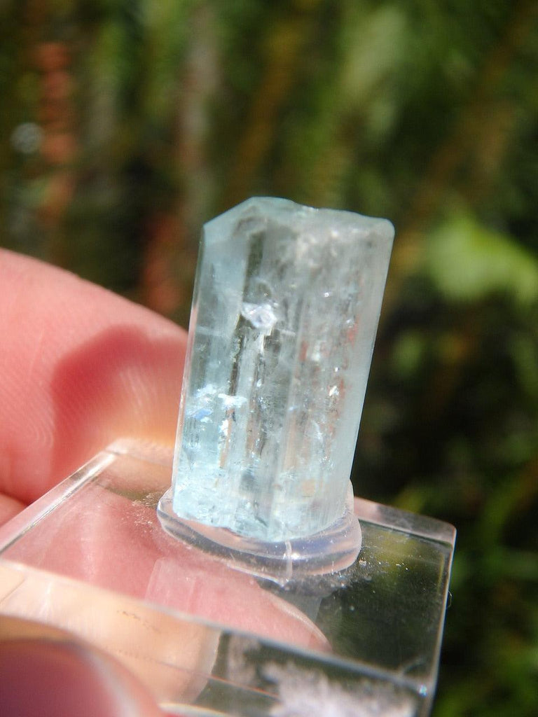 Natural Gemmy Blue Mounted AQUAMARINE SPECIMEN - Earth Family Crystals