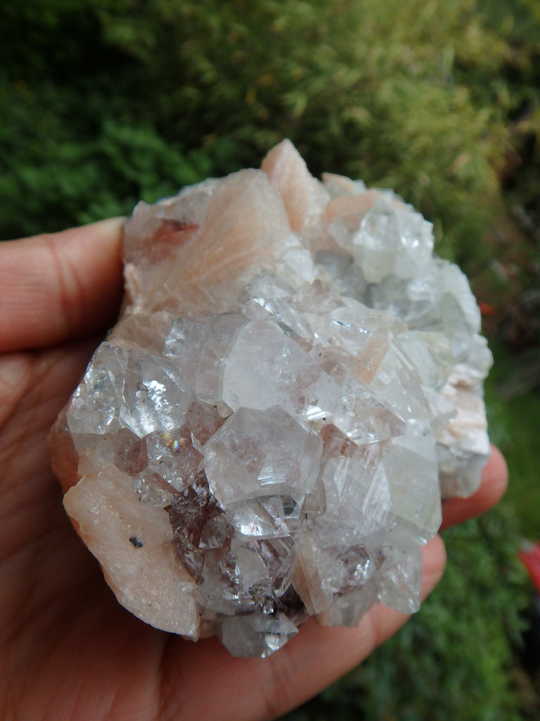 Breathtaking Brilliance~Large Clear Apophyllite & Pink Stilbite Cluster From India - Earth Family Crystals