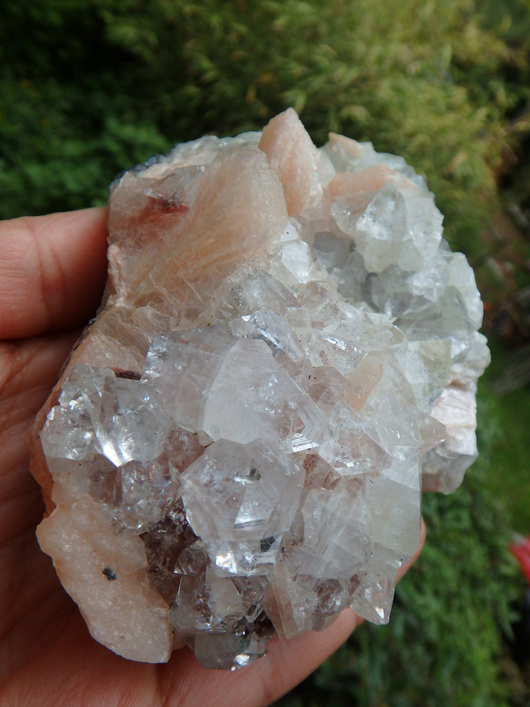 Breathtaking Brilliance~Large Clear Apophyllite & Pink Stilbite Cluster From India - Earth Family Crystals