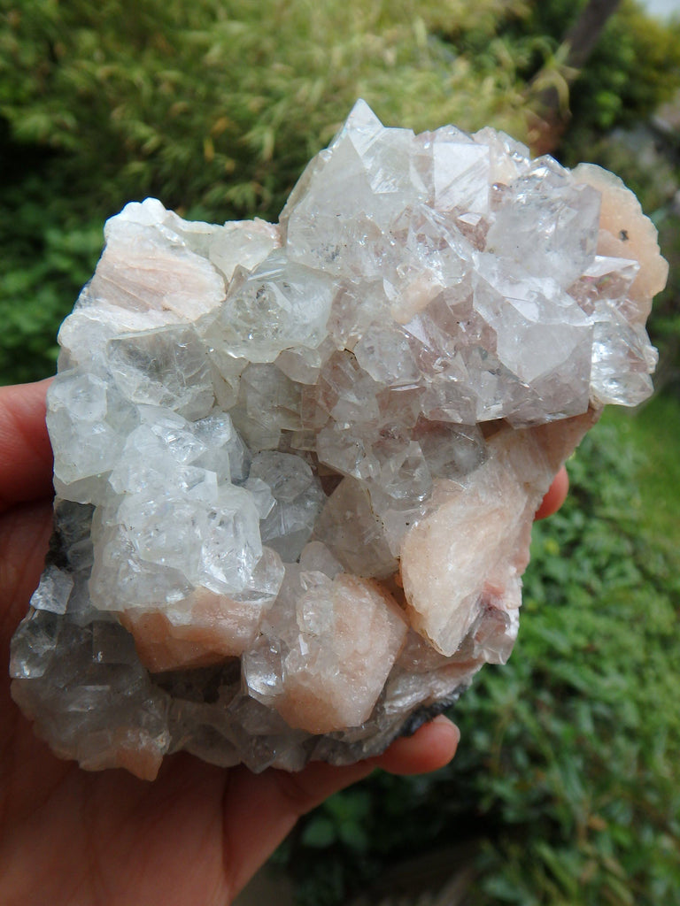 Breathtaking Brilliance~Large Clear Apophyllite & Pink Stilbite Cluster From India - Earth Family Crystals