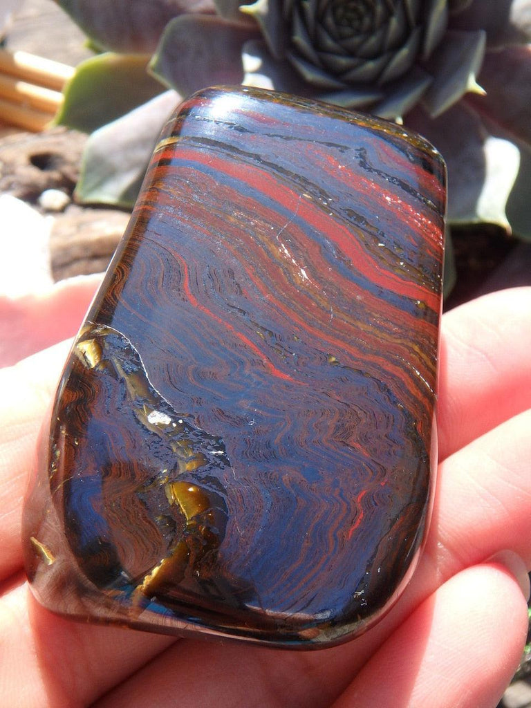 Interesting TIGER IRON SPECIMEN From Australia - Earth Family Crystals