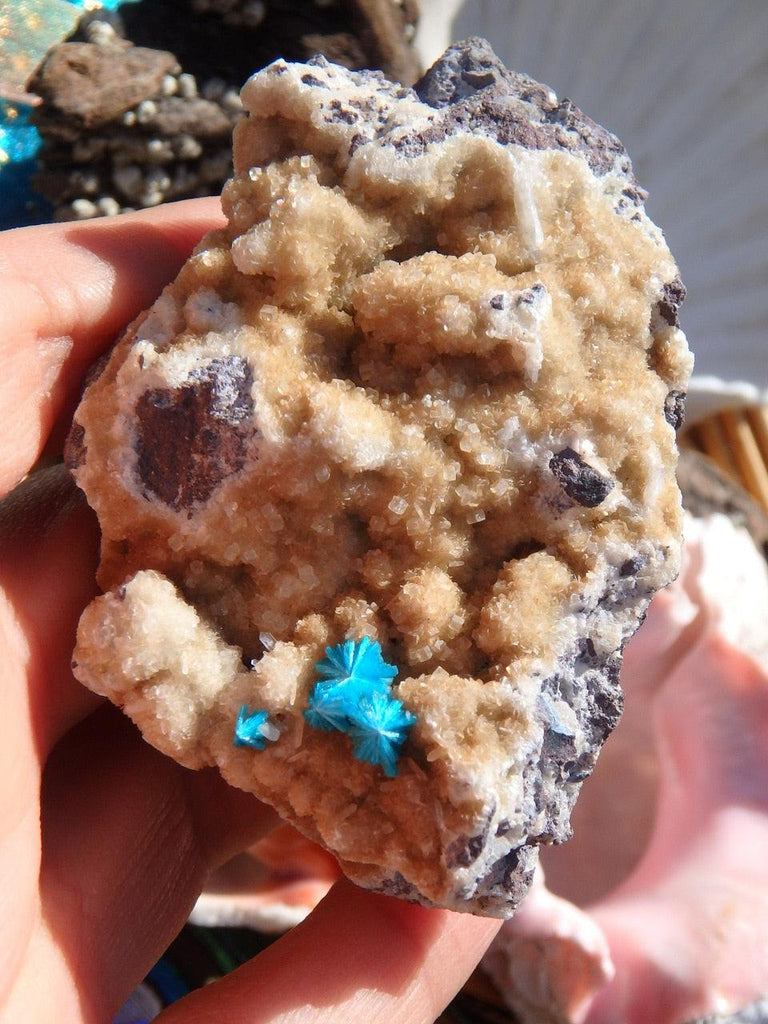 Rare Electric Blue CAVANSITE Clusters On Matrix From India - Earth Family Crystals