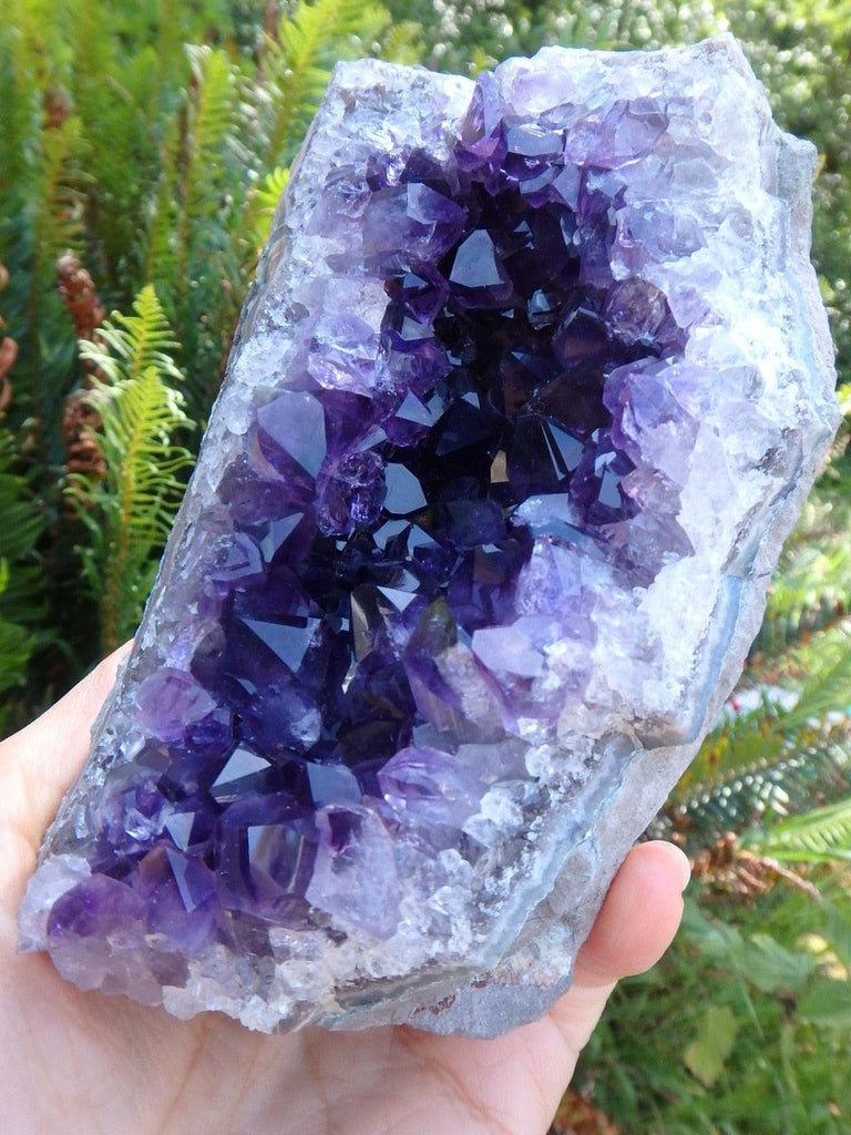 Intense Dark Purple AMETHYST SELF STANDING SPECIMEN - Earth Family Crystals