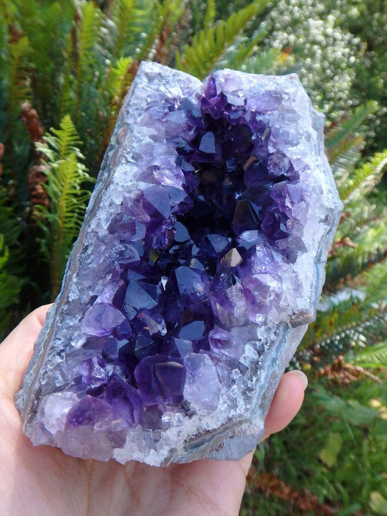 Intense Dark Purple AMETHYST SELF STANDING SPECIMEN - Earth Family Crystals