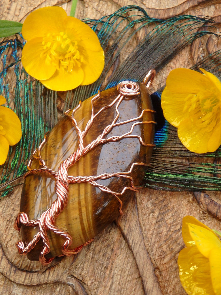 Tree Of Life Wire Wrapped Tiger Eye Pendant - Earth Family Crystals