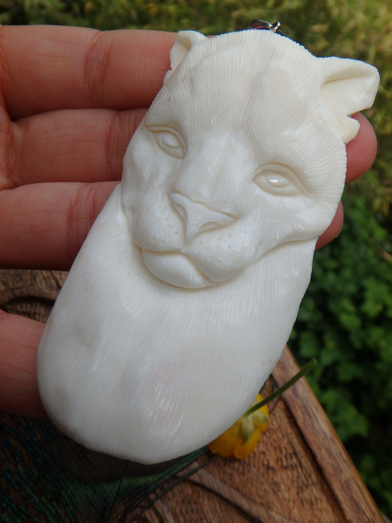 Intricately Carved Beautiful Cougar in Bone Pendant (Includes Silver Chain) - Earth Family Crystals