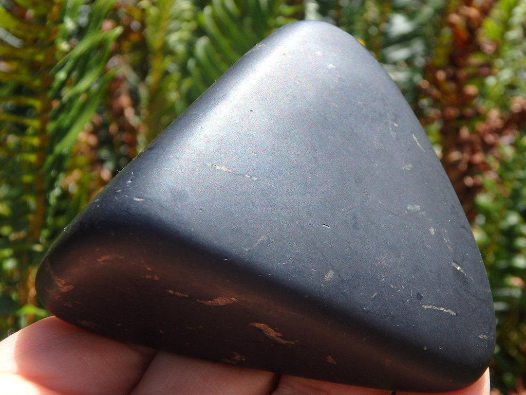 Large EMF Protective Natural SHUNGITE Free-Form Stone With Pyrite Veins - Earth Family Crystals
