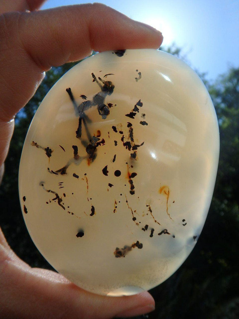 Divine Designs! DENDRITIC AGATE SPECIMEN From Madagascar - Earth Family Crystals