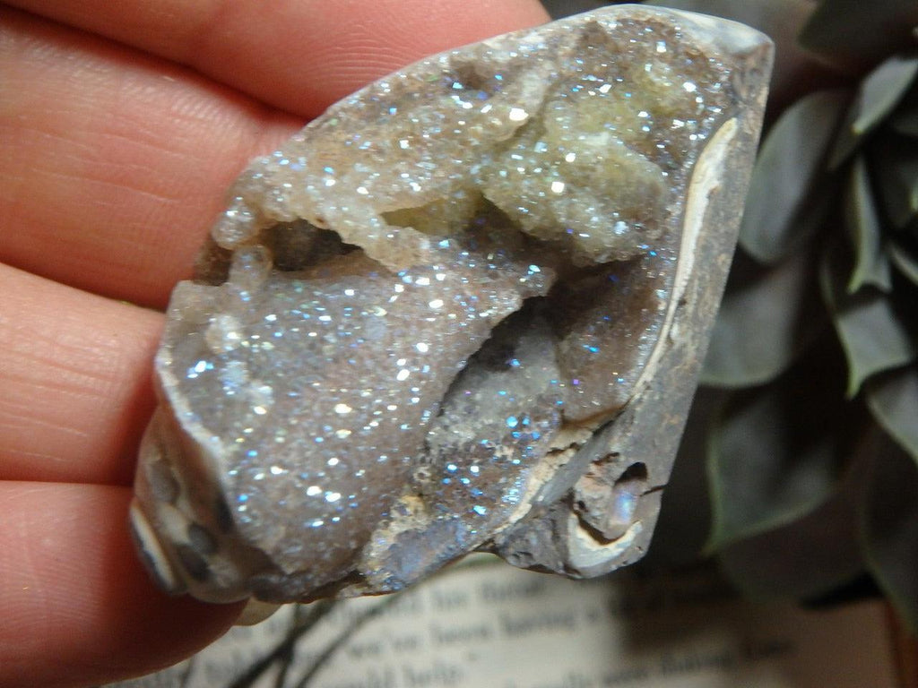 Gorgeous & Rare Sparkling ANGEL AURA DRUZY SPIRALITE GEMSHELL - Earth Family Crystals