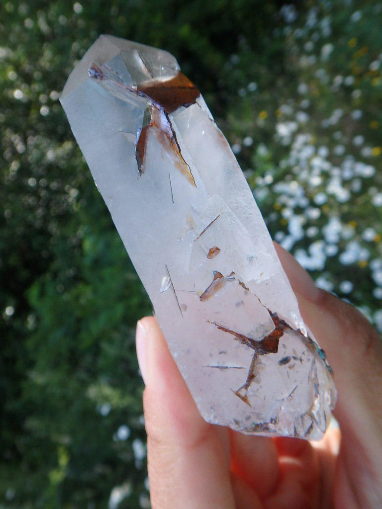 One-Of -a Kind  Brazilian CLEAR QUARTZ & GOLDEN BROOKITE POINT - Earth Family Crystals