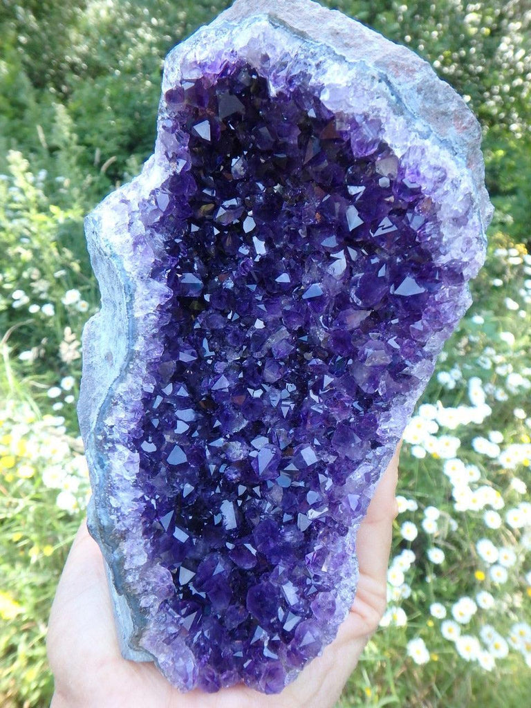 Gorgeous Rich Purple AMETHYST GEODE Self Standing Display Specimen - Earth Family Crystals