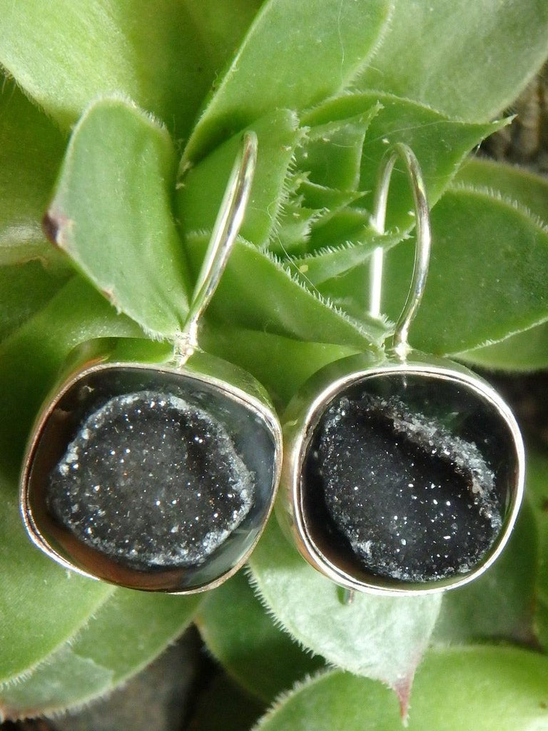 Glimmering Black AGATE DRUZY Sterling Silver Earrings - Earth Family Crystals