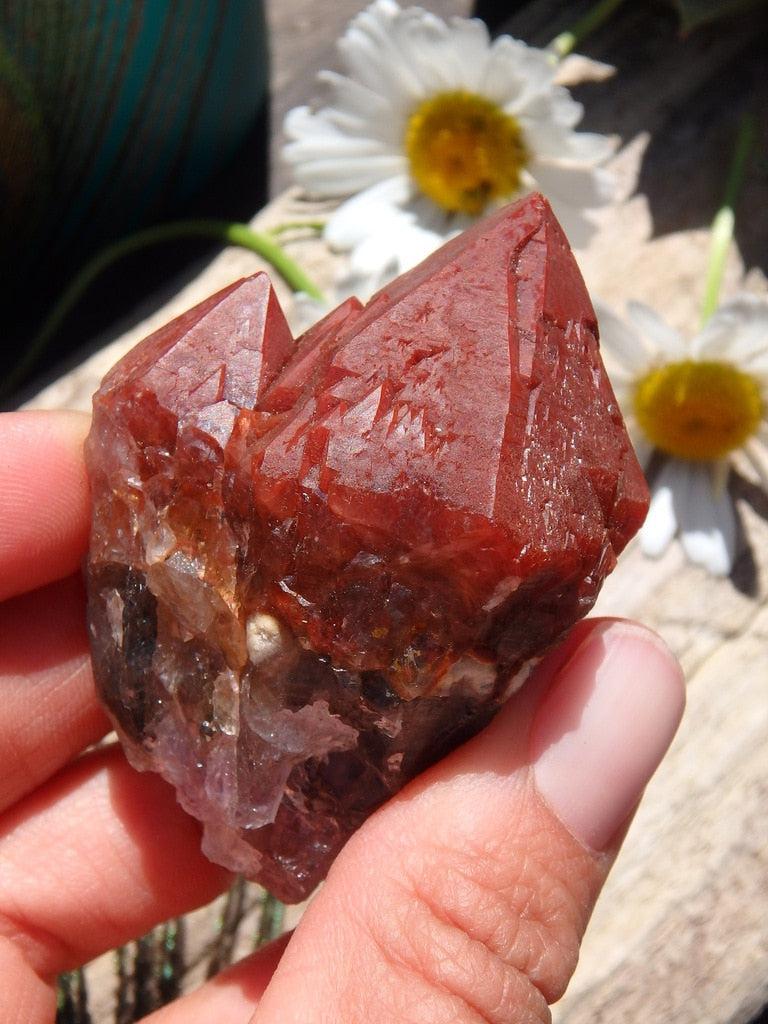 Natural & Rare Red Amethyst Mother & Baby Point From Brazil - Earth Family Crystals