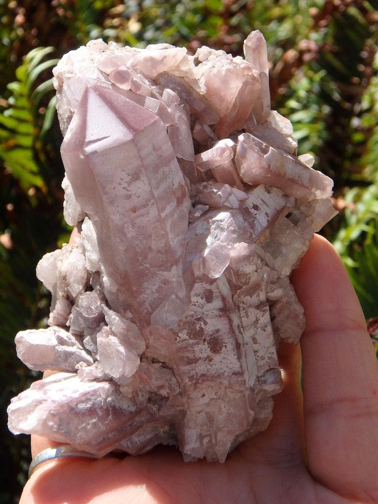 Healing Lithium Quartz Cluster From Brazil - Earth Family Crystals