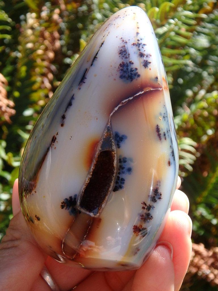 Gorgeous Patterns Dendritic Agate Display Specimen With Druzy Cave - Earth Family Crystals