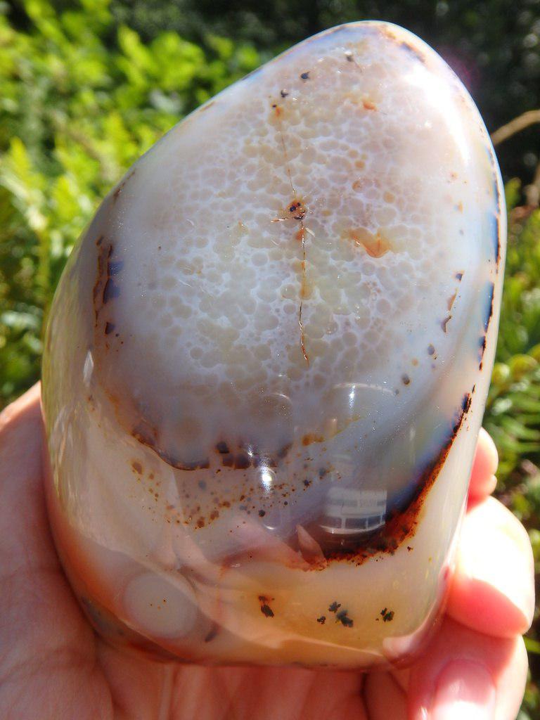 Gorgeous Patterns Dendritic Agate Display Specimen With Druzy Cave - Earth Family Crystals