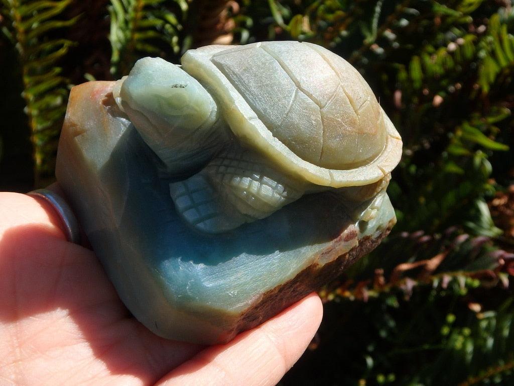 Unique Amazonite Turtle Carving - Earth Family Crystals