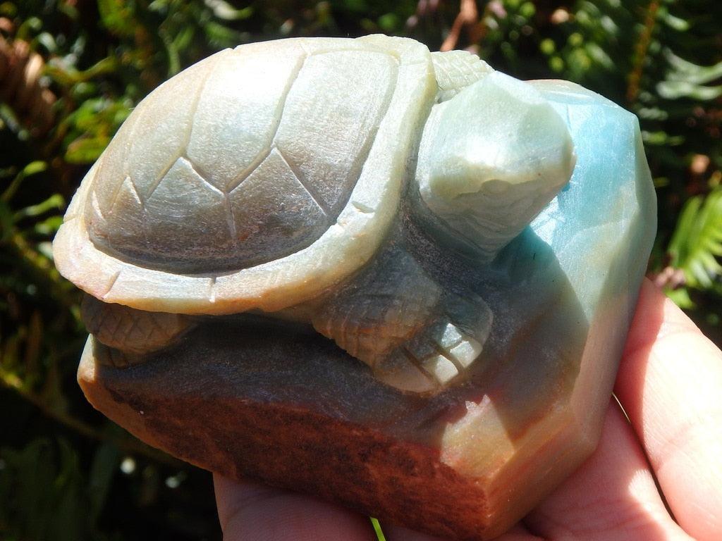 Unique Amazonite Turtle Carving - Earth Family Crystals