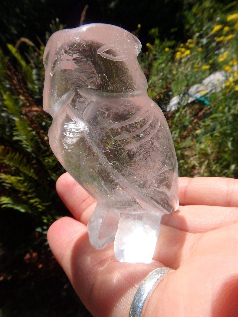 Adorable Clear Quartz Owl Carving - Earth Family Crystals