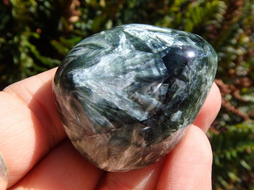 Silver Angel Wings & Forest Green Seraphinite Palm Stone - Earth Family Crystals