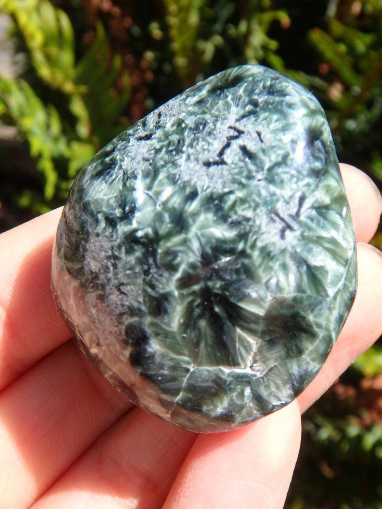 Silver Angel Wings & Forest Green Seraphinite Palm Stone - Earth Family Crystals