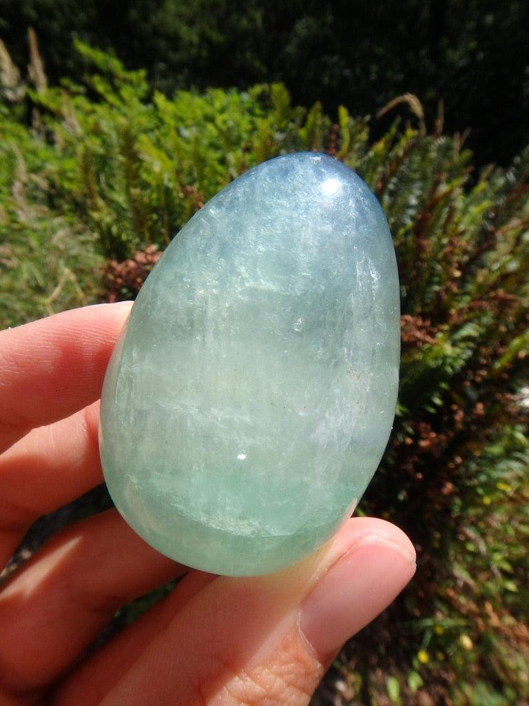 Vibrant Green Fluorite Egg Specimen - Earth Family Crystals