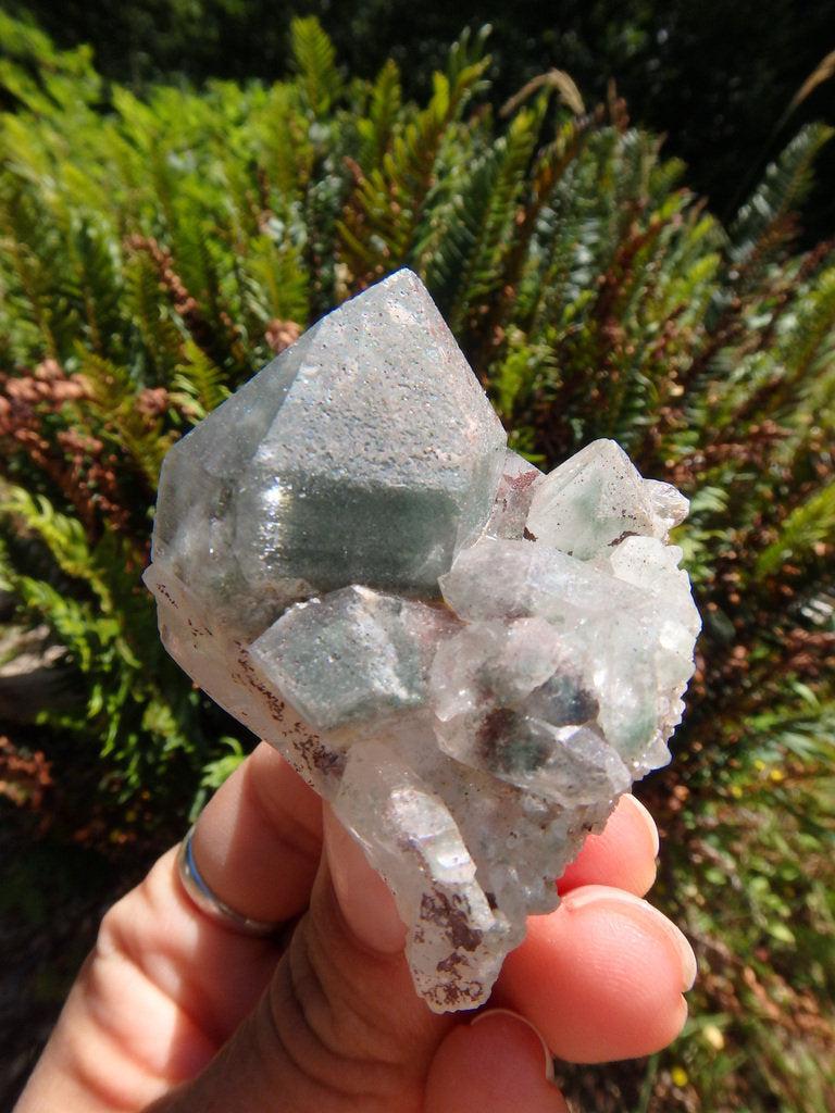 Stunning Green Chlorite Specimen - Earth Family Crystals