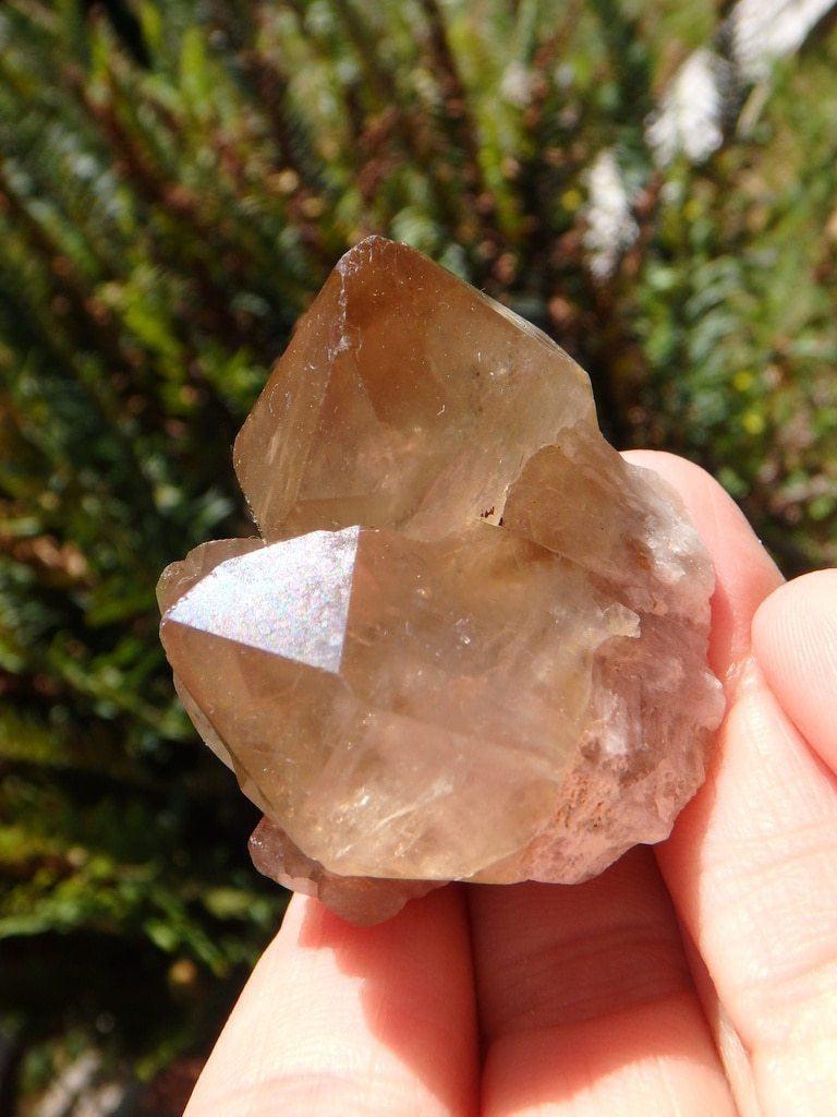 Congo Honey Citrine Cluster - Earth Family Crystals