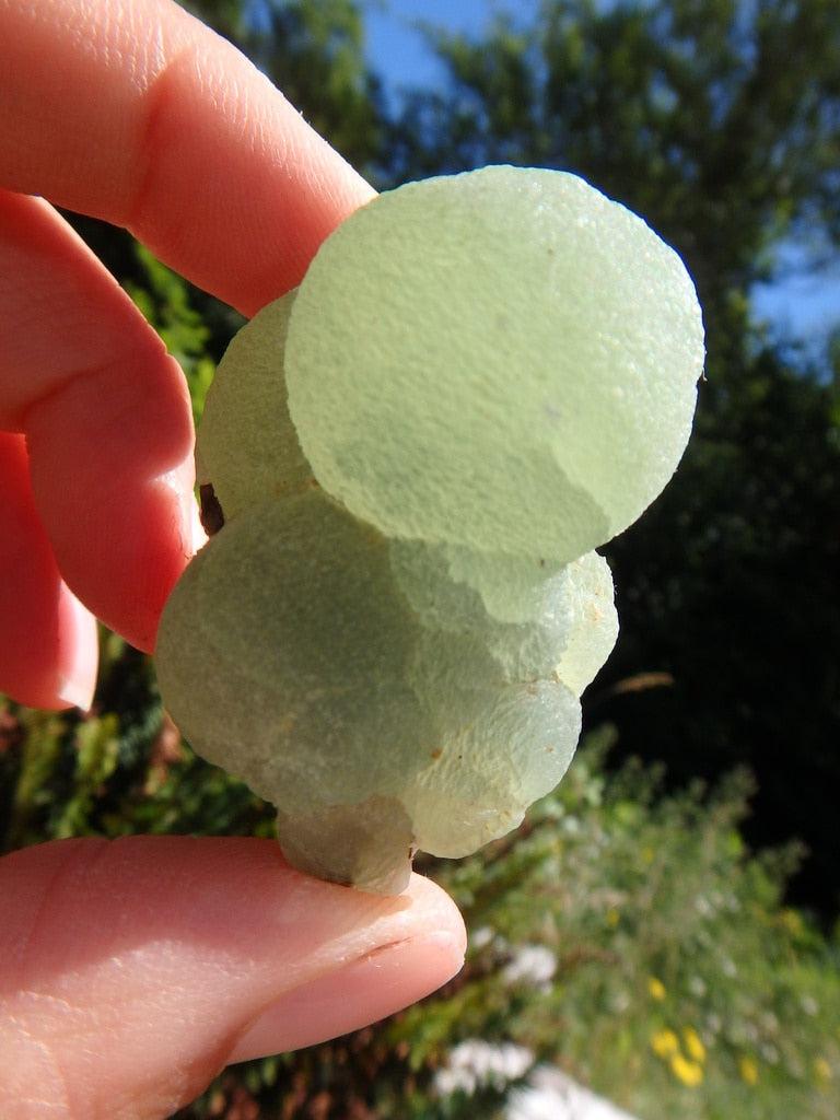 Vibrant Prehnite  Specimen with Forest Green Epidote Inclusions - Earth Family Crystals