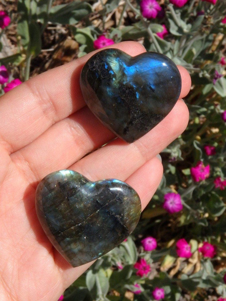 Adorable Mini Labradorite Gemstone Heart Set 2 - Earth Family Crystals