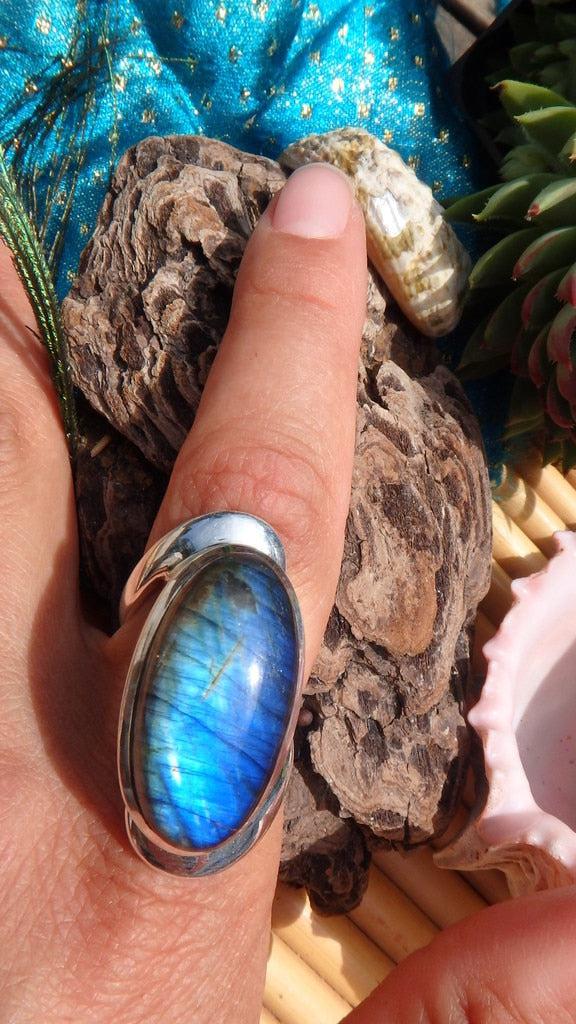 Large & Chunky Mega Midnight Blue Flash Labradorite Gemstone Ring In Sterling Silver (Size 8.5) - Earth Family Crystals