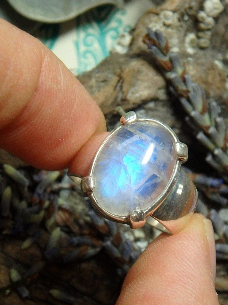 Beautiful Blue Flashes Rainbow Moonstone Ring In Sterling Silver (Size 7) - Earth Family Crystals