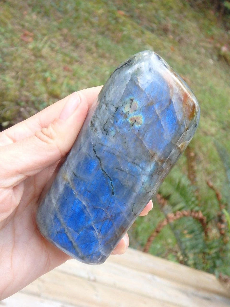 Lovely Cobalt Blue Flash Labradorite Standing Specimen - Earth Family Crystals