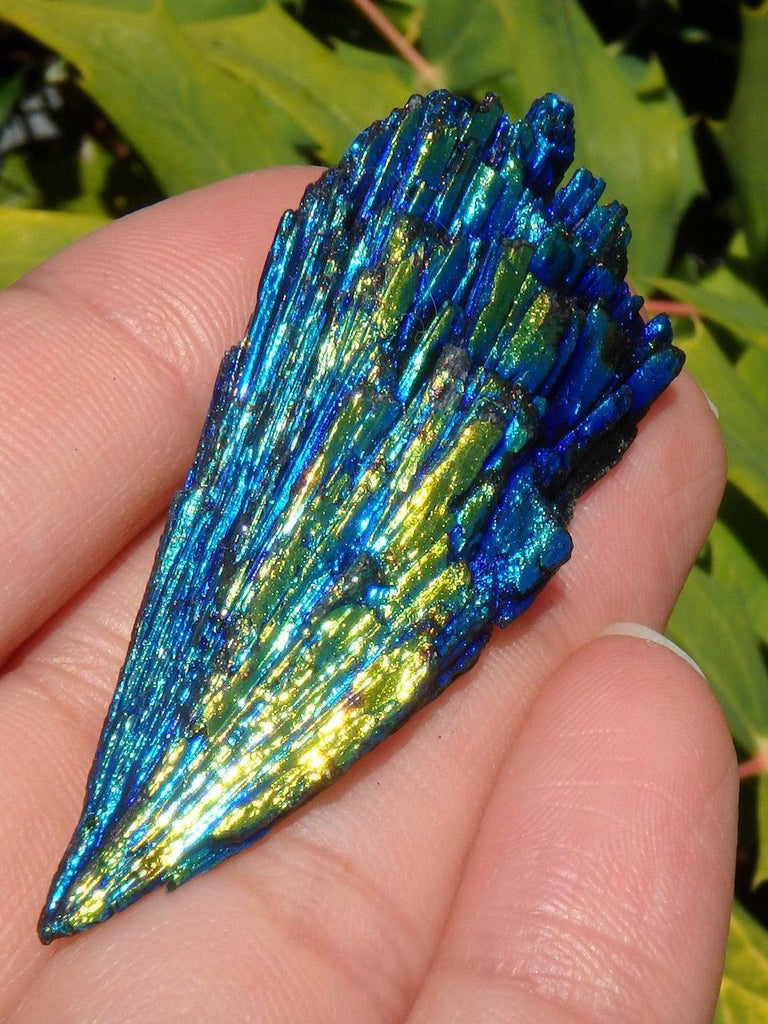 Vibrant Titanium Coated Black Kyanite Crystal Specimen - Earth Family Crystals