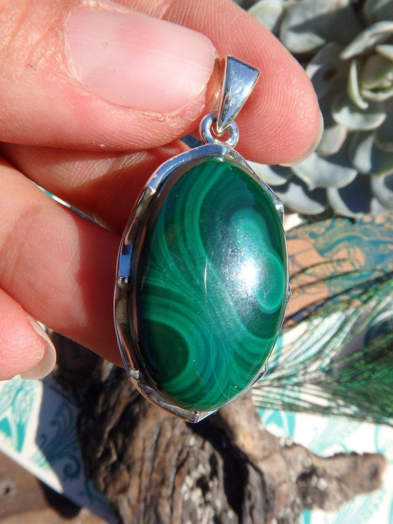 Stunning Large Malachite  Pendant In Sterling Silver (Includes Silver Chain) - Earth Family Crystals