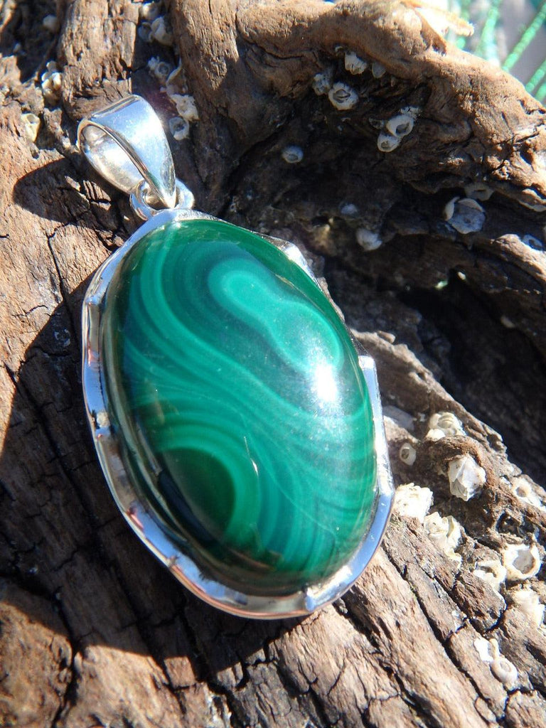 Stunning Large Malachite  Pendant In Sterling Silver (Includes Silver Chain) - Earth Family Crystals