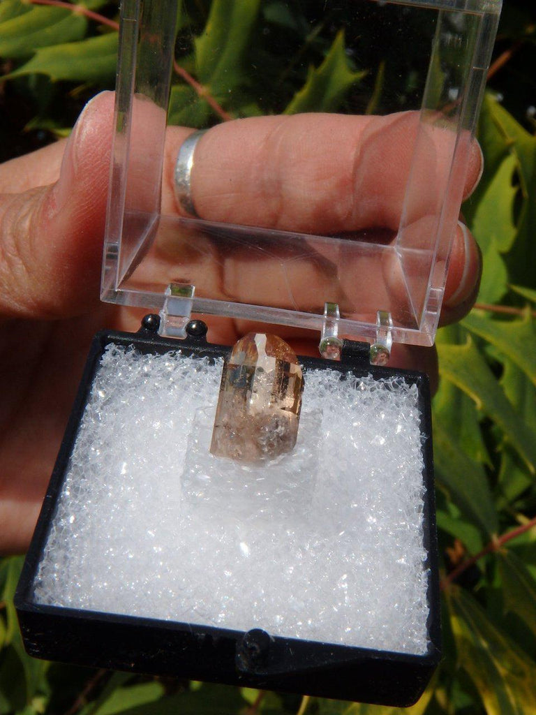 AMAZING CLARITY GOLDEN TOPAZ COLLECTORS SPECIMEN IN PROTECTIVE CASE*** - Earth Family Crystals