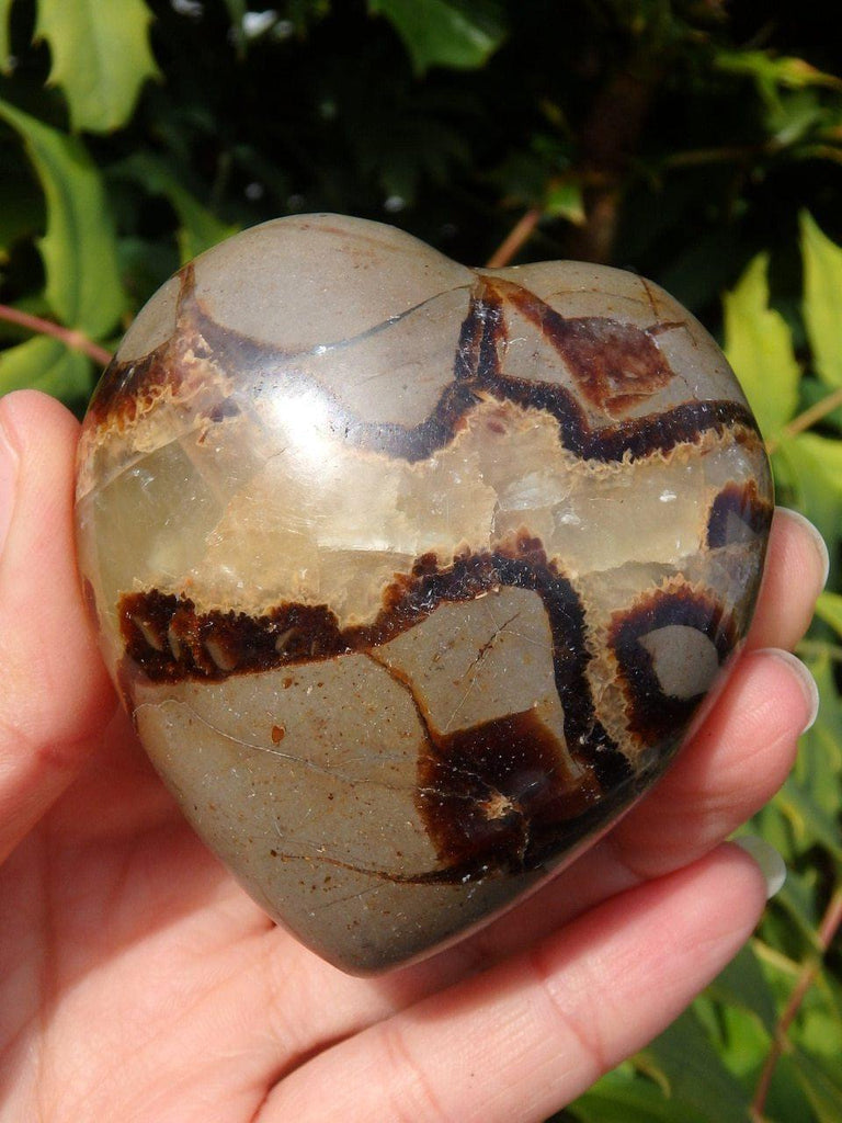 SEPTARIAN DRAGON HEART - Earth Family Crystals