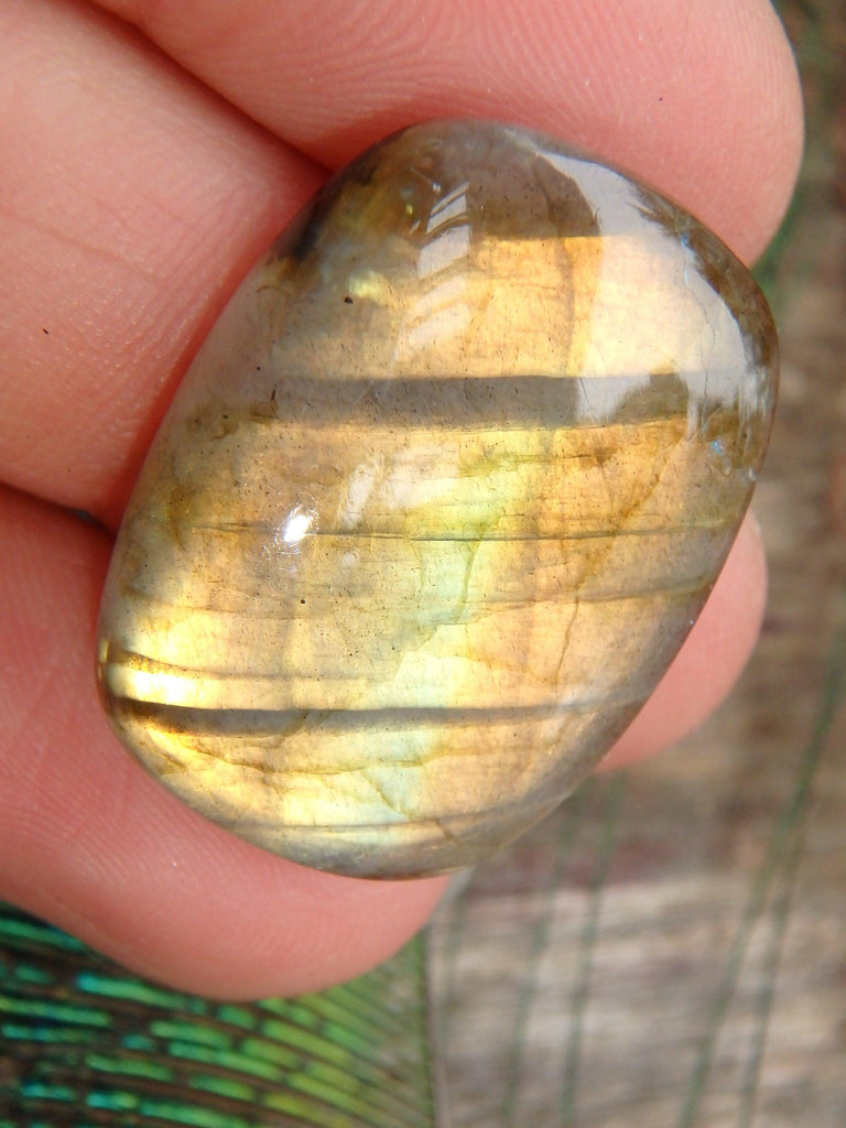 Ribbons & Peachy Gold Flash Labradorite Cabochon - Earth Family Crystals