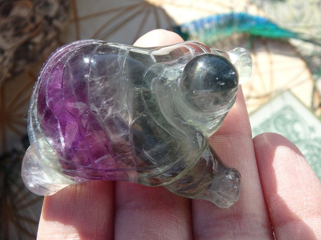 Rainbow Fluorite Turtle Carving - Earth Family Crystals