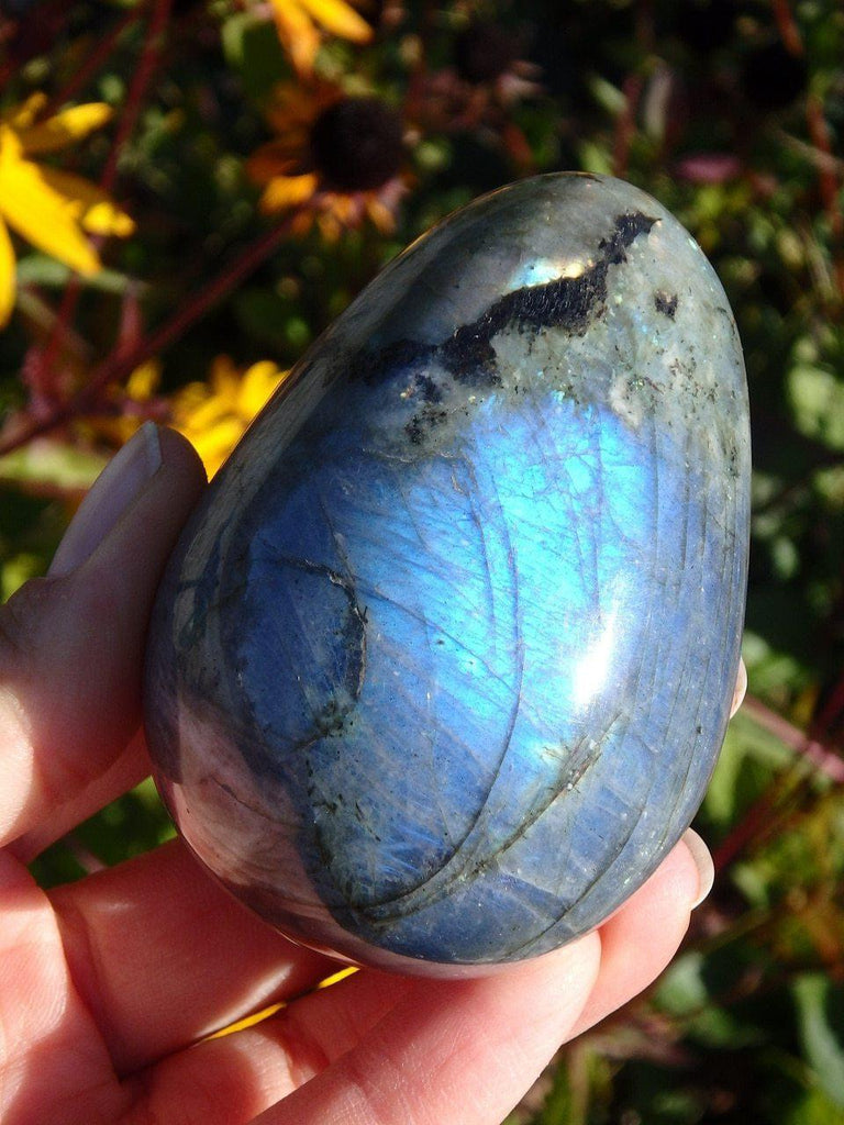 Cobalt Blue Flashes  Labradorite Egg Carving - Earth Family Crystals