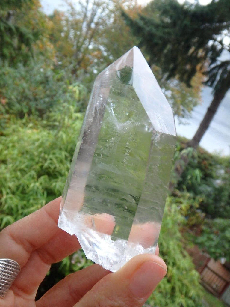Gorgeous  Phantom Inclusions Large Lemurian Seed Point From Brazil - Earth Family Crystals