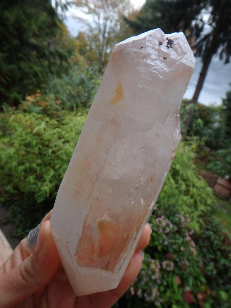 Rare Find! Sun Kissed  Large DT Tangerine Lemurian Quartz Point Encrusted in Druzy From Brazil - Earth Family Crystals