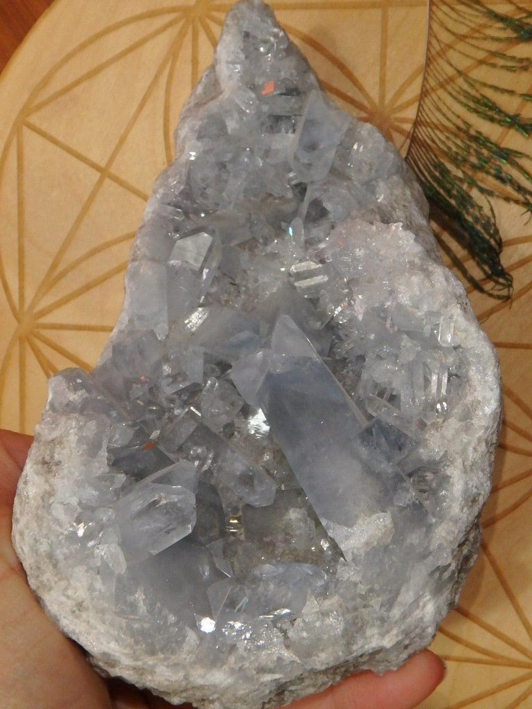 Exquisite Formation XL Sweet Blue Celestite Geode Specimen - Earth Family Crystals