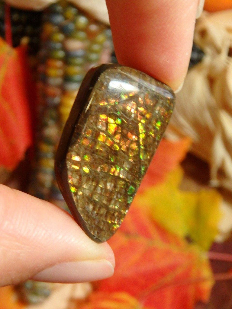 ALBERTA AMMOLITE CABOCHON Perfect For Wire Wrapping - Earth Family Crystals
