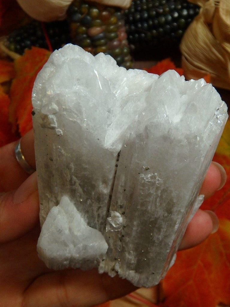 Breathtaking Elestial Large White Danburite Encrusted With Pyrite Sprinkles - Earth Family Crystals