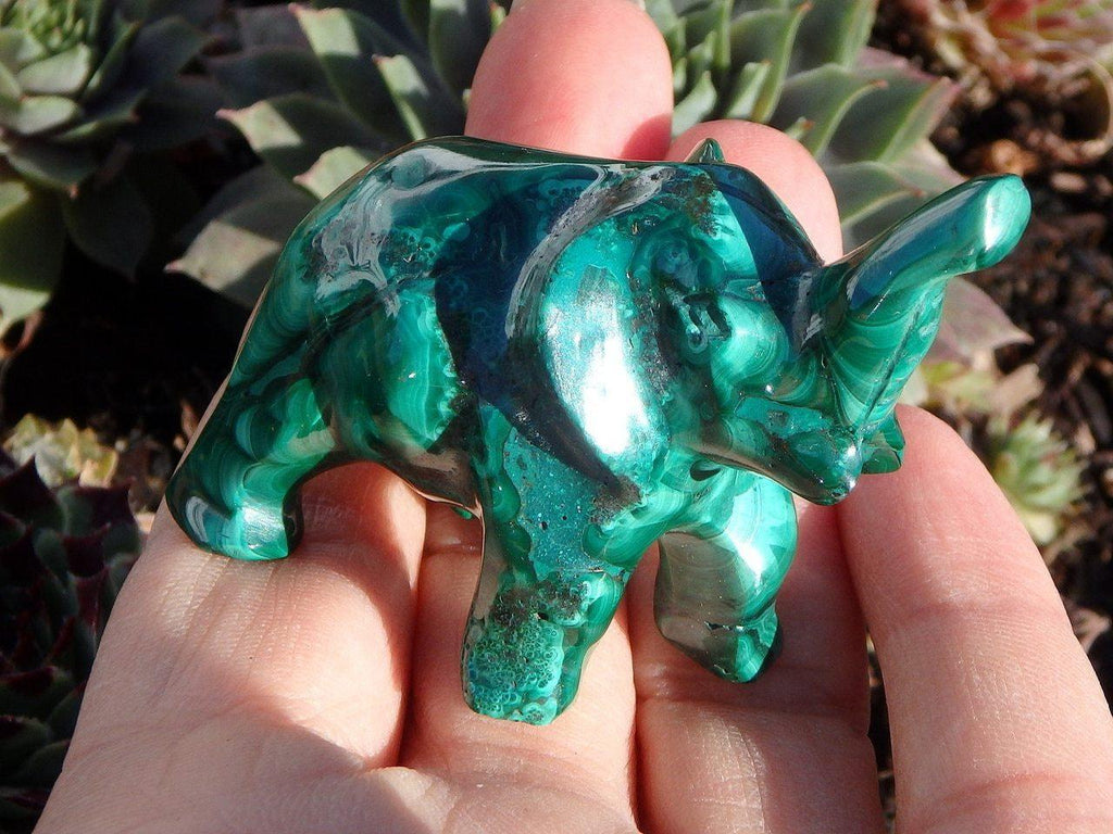 Adorable Malachite Elephant Carving - Earth Family Crystals