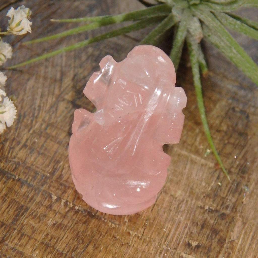 Rose Quartz Ganesha Dainty Carving- The Remover of Obstacles - Earth Family Crystals